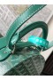 Goyard O Alto Hatbox Tronco Saco Verde