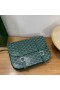 Goyard Belvedere Messenger Goyardine MM Glas