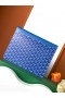 Goyard Goyard Camondo2ポーチスカイブルー