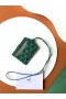 Goyard Vénus Çanta Aynası Yeşil