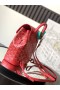 Goyard Alpin Mini Mochila Roja
