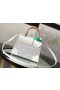Goyard Saïgon Structuré Mini Bolso Blanco
