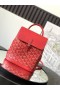 Goyard Alpin Mini Mochila Roja