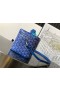 Goyard Muse Vanity Case Sky Blue