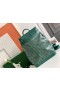 Goyard Stoomboot PM Tas Groen